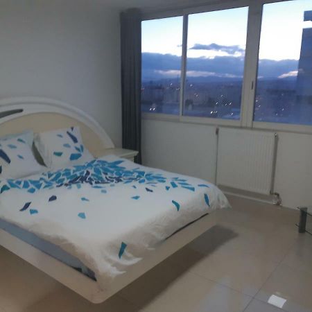 Appartement Laurent Bonnevay Villeurbanne Extérieur photo