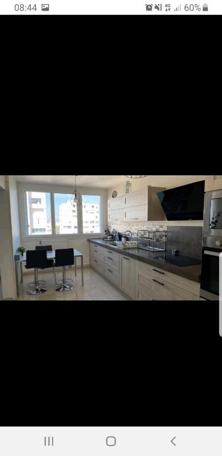 Appartement Laurent Bonnevay Villeurbanne Extérieur photo