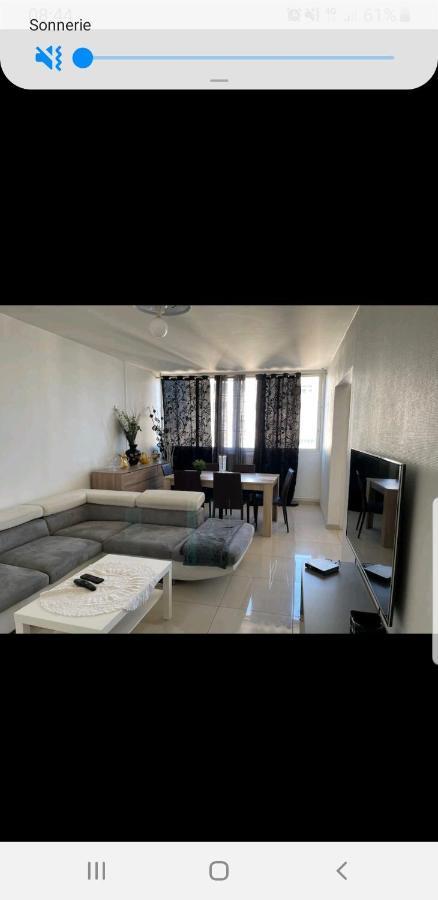 Appartement Laurent Bonnevay Villeurbanne Extérieur photo