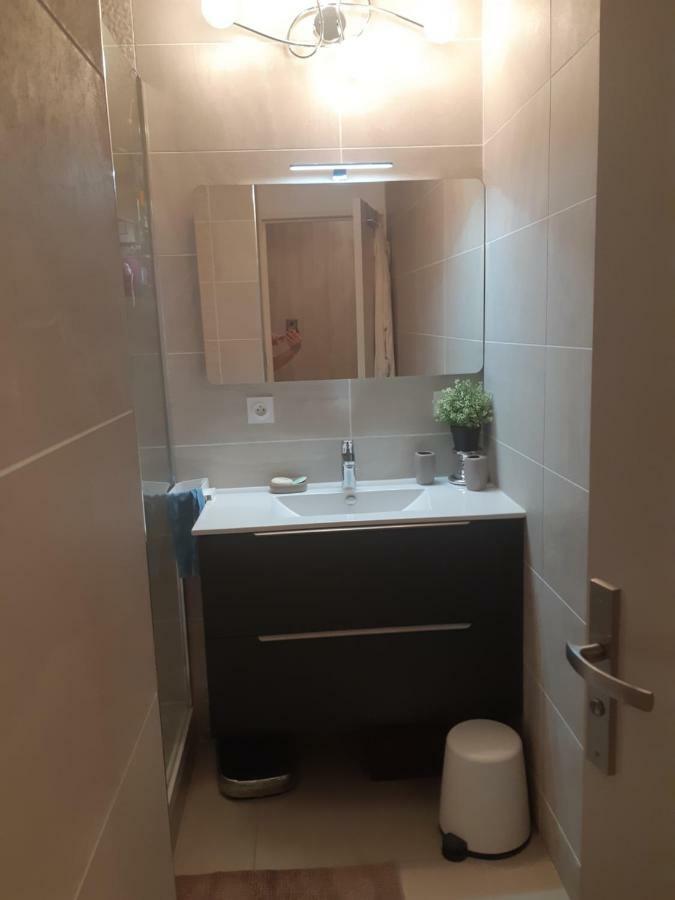 Appartement Laurent Bonnevay Villeurbanne Extérieur photo